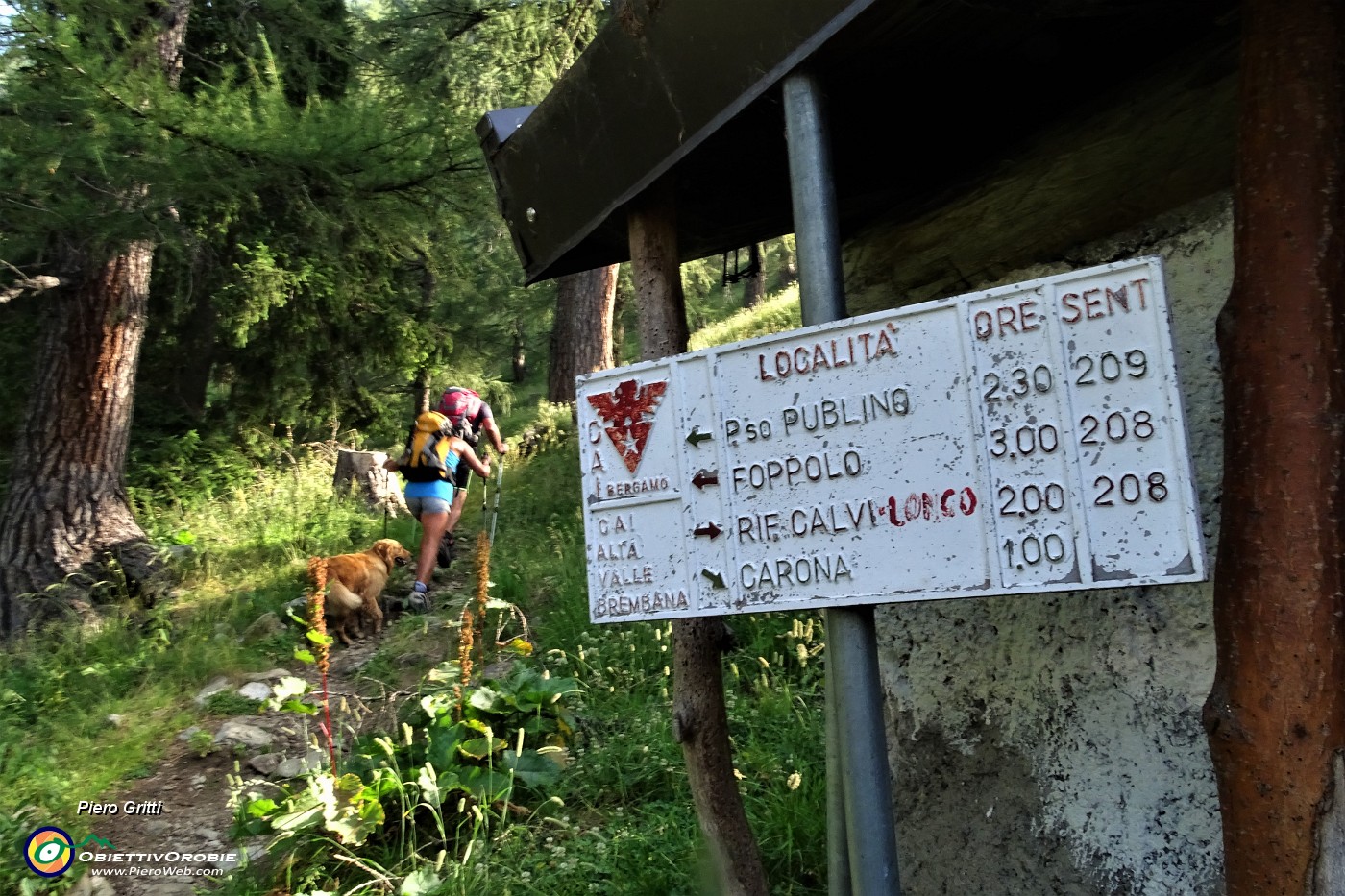 19 Ancora h 2.30 sul sent. 209 per il Passo di Publino.JPG